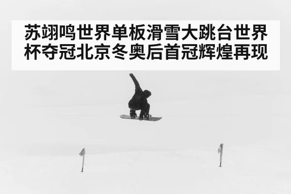 苏翊鸣世界单板滑雪大跳台世界杯夺冠北京冬奥后首冠辉煌再现